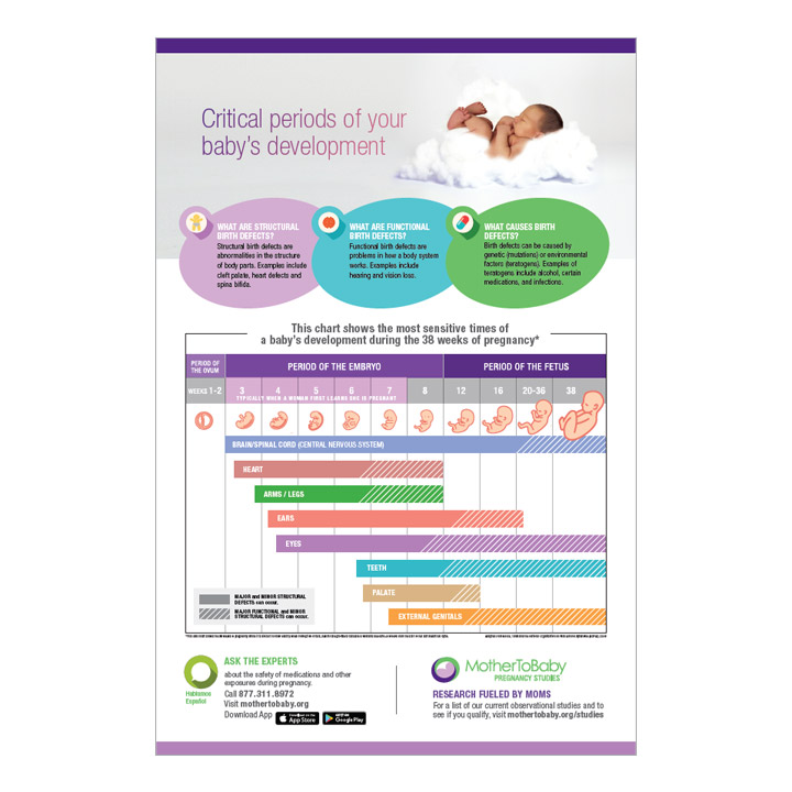 fetal development chart