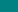 Pashto flag