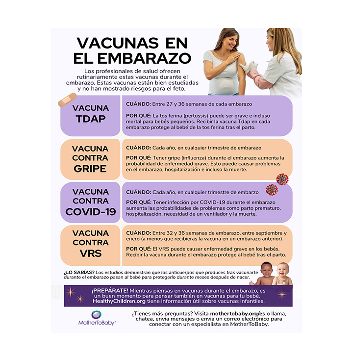 Gráfico sobre las vacunas en el embarazo - Image 2